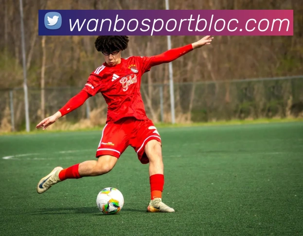 万博足球官网平台生态图