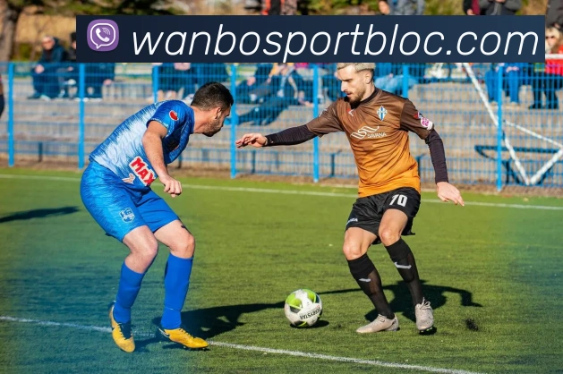 万博足球官网APP 封面图